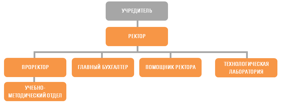 структура ВТШ